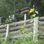 Fichtenheim *