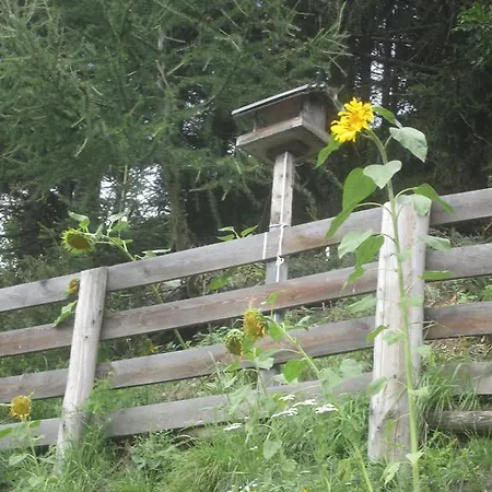 Fichtenheim *